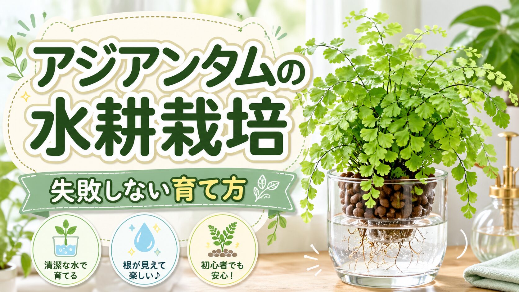 アジアンタムの水耕栽培を紹介するアイキャッチ画像。透明な容器とハイドロボールで育つアジアンタムを背景に、水換え・根腐れ対策・水位管理を説明するデザイン。