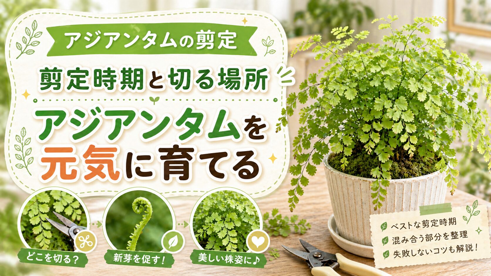 アジアンタムの剪定を紹介するアイキャッチ画像。元気なアジアンタムと剪定ばさみ、新芽、枯れ葉を整理するポイントをまとめたデザイン。