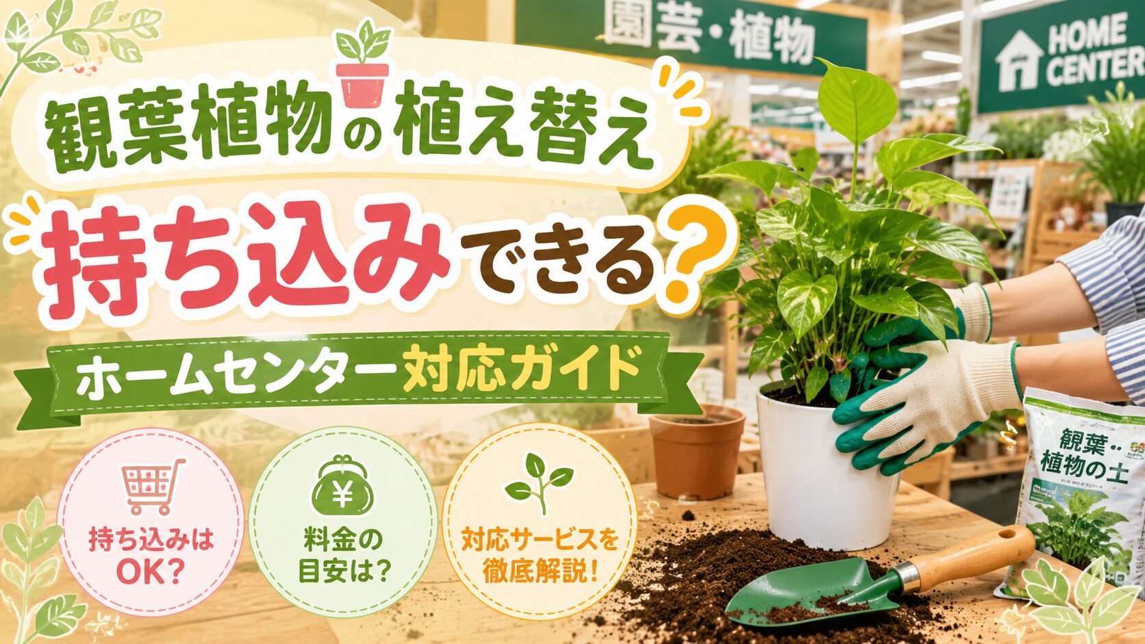 観葉植物の植え替えを持ち込み出来るホームセンター完全比較ガイド 