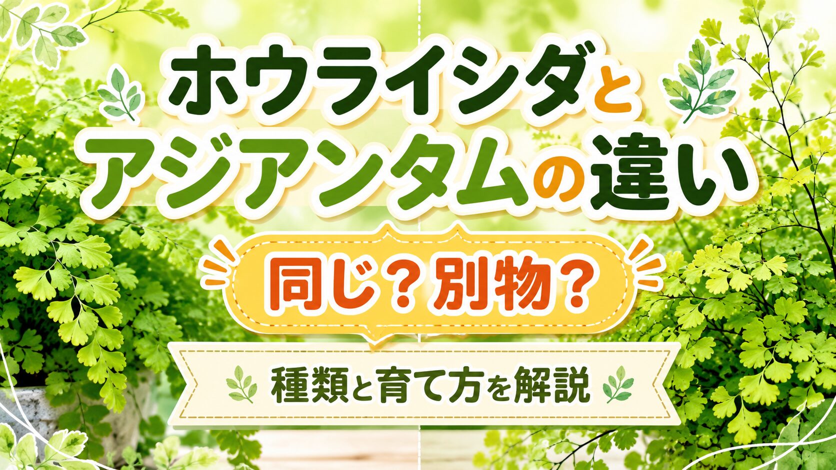 ホウライシダとアジアンタムの違いを紹介するアイキャッチ画像。繊細な葉を持つシダ植物を背景に、同じ植物か別物かを分かりやすく説明するデザイン。