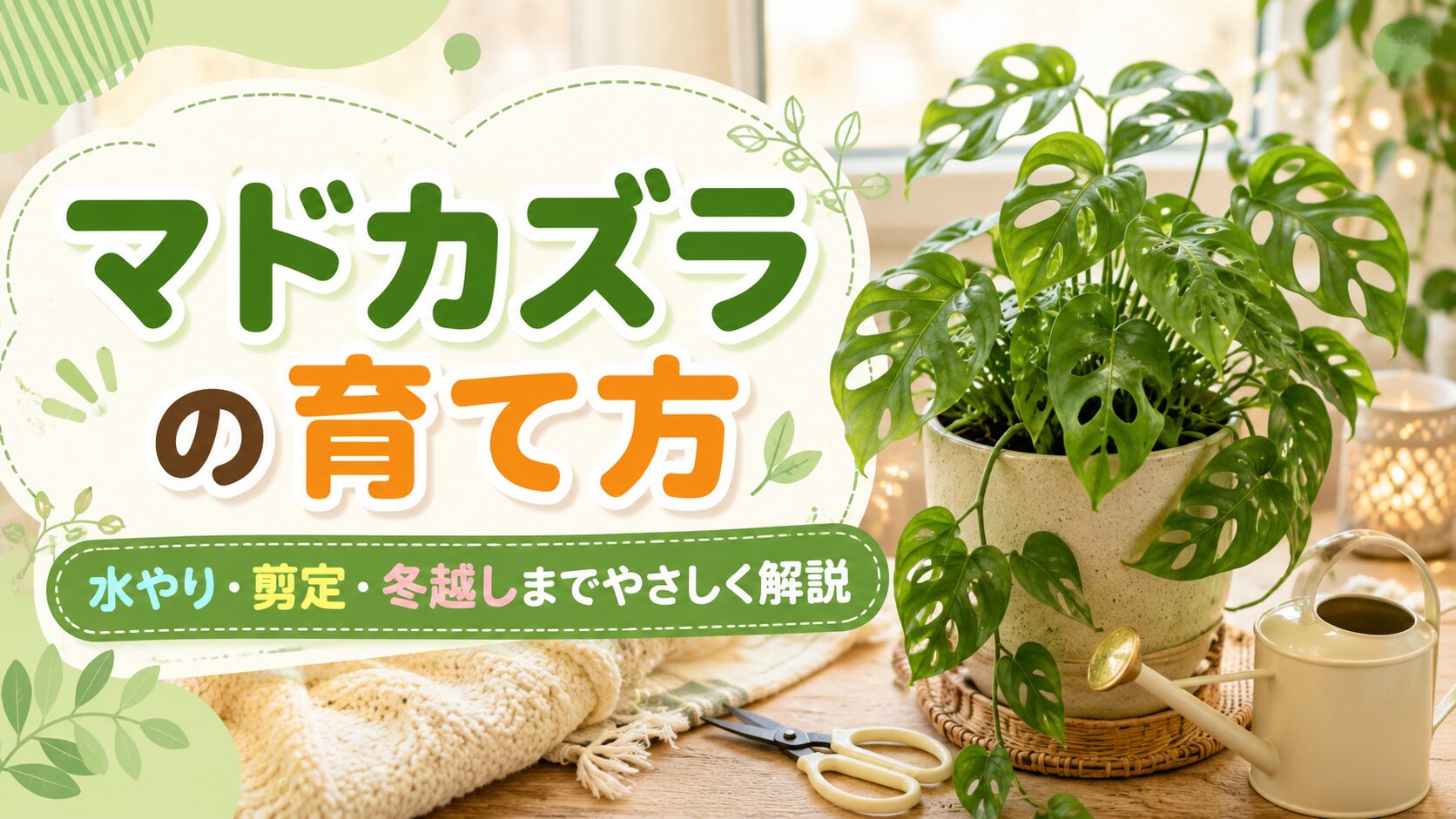 マドカズラの育て方を紹介するアイキャッチ画像。鉢植えのマドカズラと水やり、剪定、冬越しのポイントをまとめたデザイン。