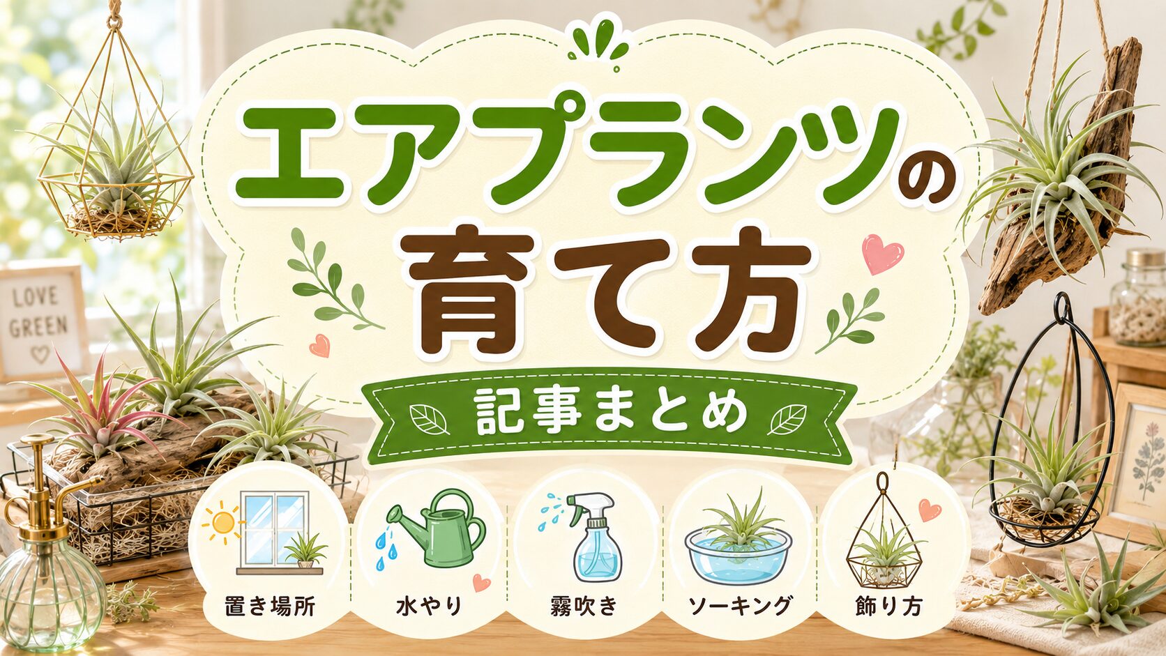 エアプランツの育て方記事まとめのアイキャッチ画像。室内で飾られたエアプランツを背景に、置き場所・水やり・霧吹き・ソーキング・飾り方のポイントを分かりやすく紹介するデザイン。