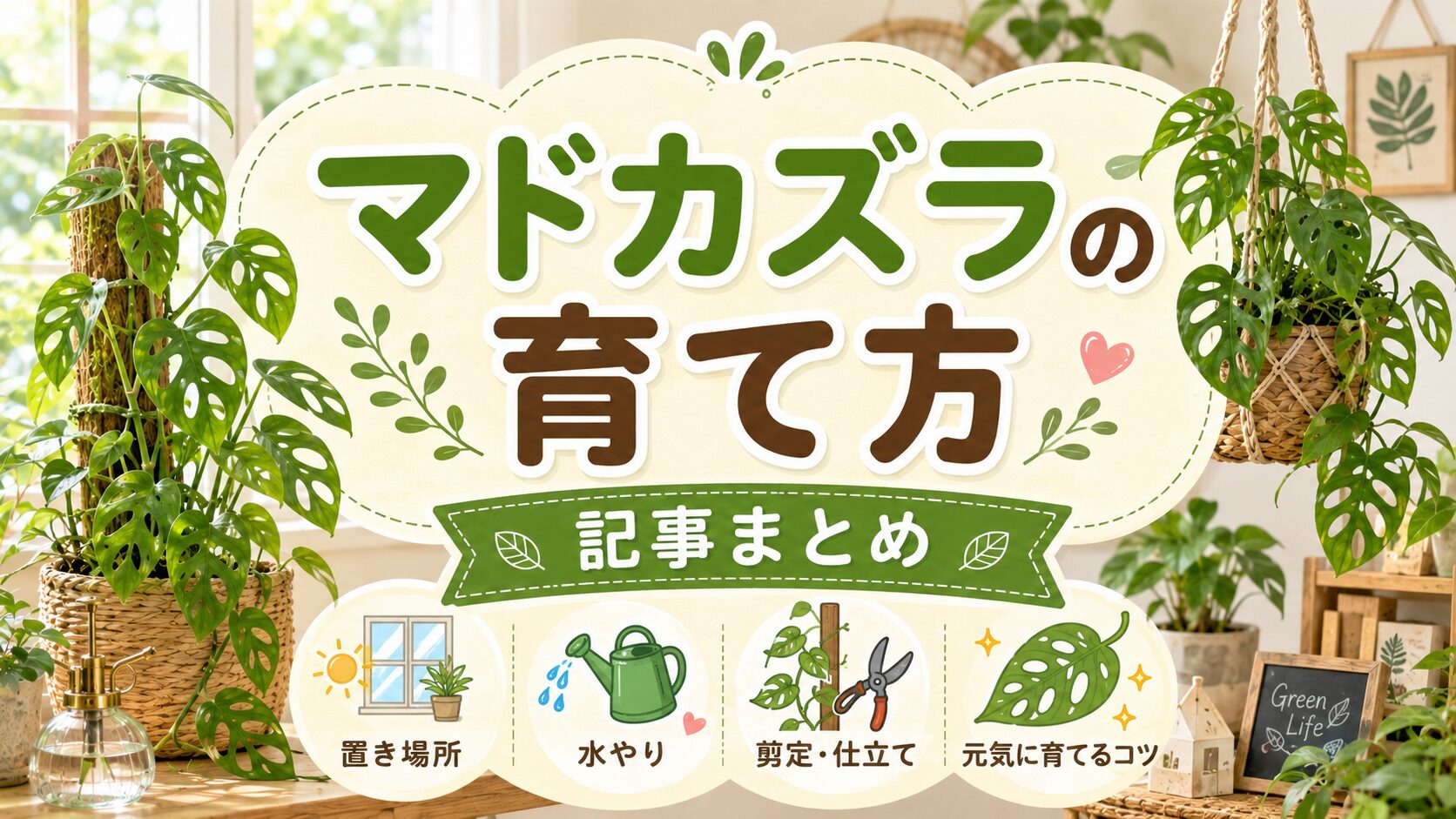マドカズラの育て方記事まとめのアイキャッチ画像。明るい室内で支柱仕立てとハンギングのマドカズラを背景に、置き場所・水やり・剪定と仕立て・元気に育てるコツを分かりやすく紹介するデザイン。
