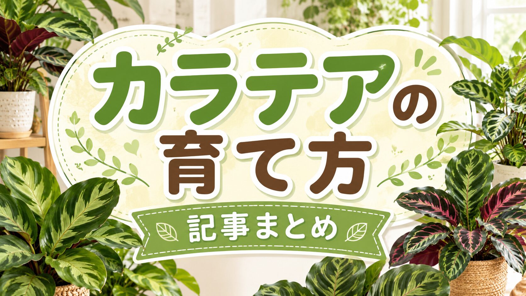 カラテアの育て方記事まとめのアイキャッチ画像。室内に並ぶカラテアを背景に、水やり・置き場所・トラブル対策などをまとめたハブページをイメージしたデザイン。