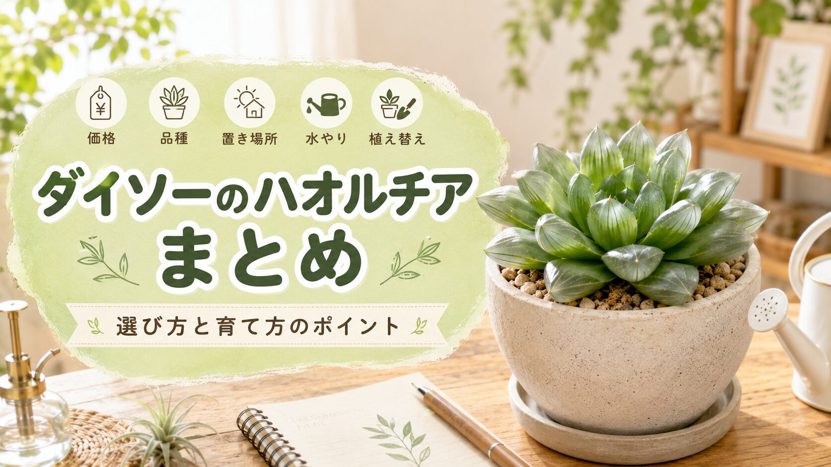 ダイソーのハオルチアについて、価格・品種・置き場所・水やり・植え替えなど選び方と育て方のポイントをまとめた画像。透明感のあるハオルチアの鉢植えを配置し、記事全体の内容をわかりやすく表現している