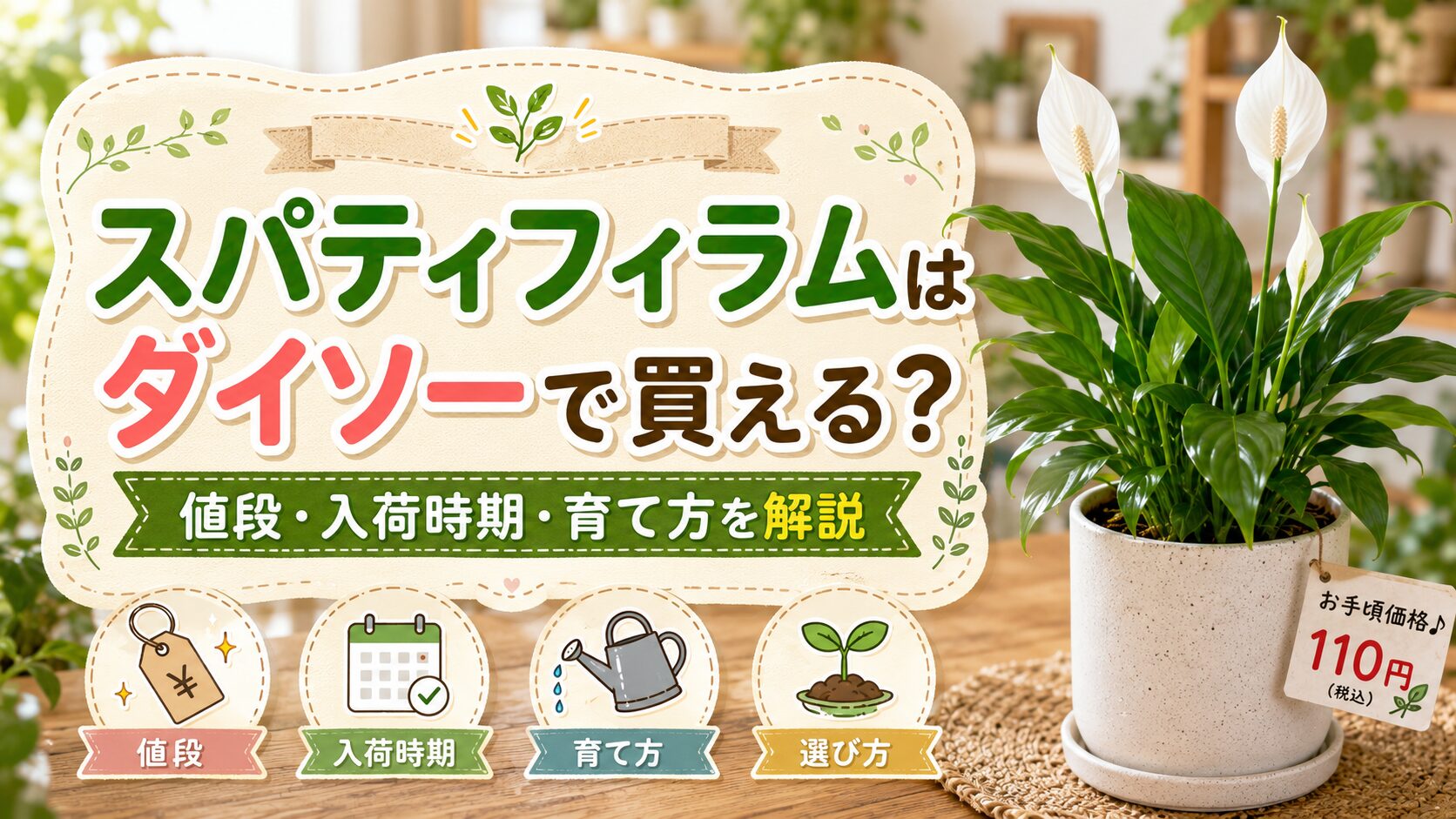 ダイソーで買えるスパティフィラムの値段・入荷時期・育て方を紹介するアイキャッチ画像