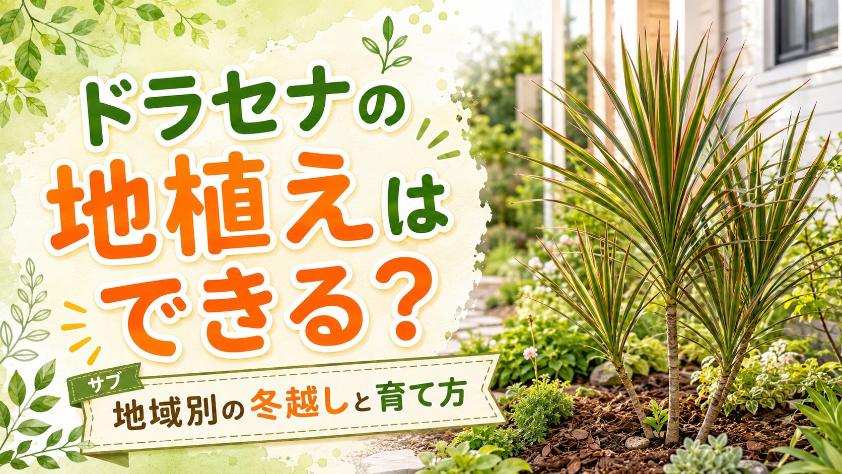 庭に地植えされたドラセナと地域別の冬越しや育て方を紹介するアイキャッチ画像