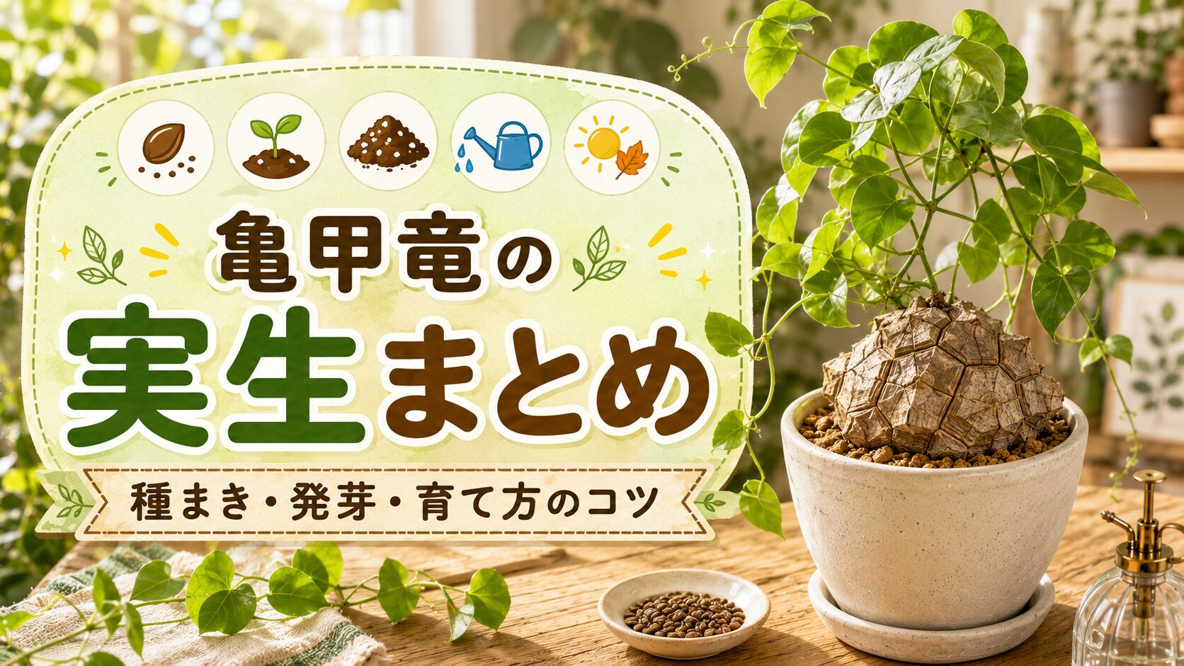 亀甲竜の実生育成完全ガイド｜発芽させる種まきと育て方の基本知識