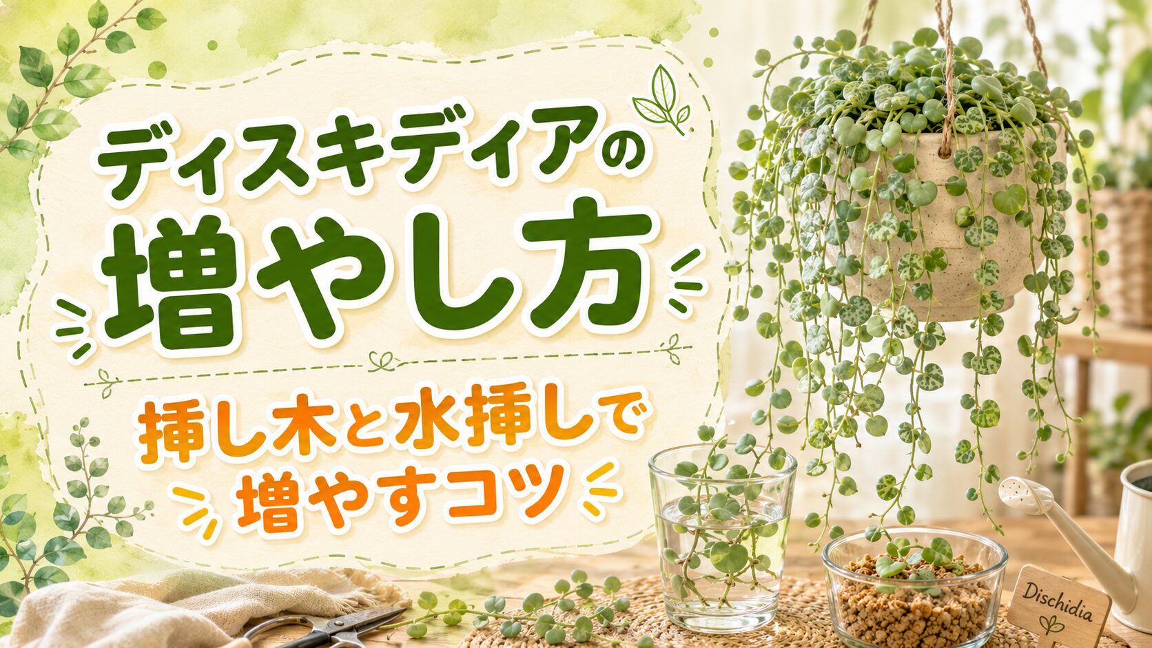 ディスキディアの増やし方を解説する挿し木と水挿しのアイキャッチ画像