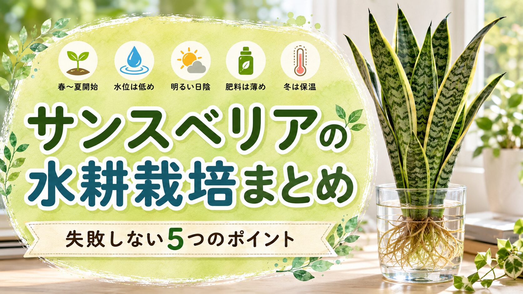サンスベリアの水耕栽培で失敗しない5つのポイントを、春〜夏開始・低めの水位・明るい日陰・薄めの肥料・冬の保温とともに示したまとめ画像。