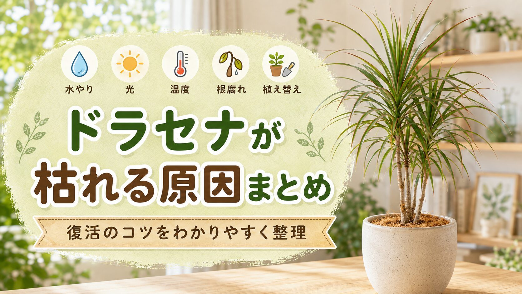 ドラセナが枯れる原因と復活のコツを水やり・光・温度・根腐れ・植え替え別に整理したまとめ画像