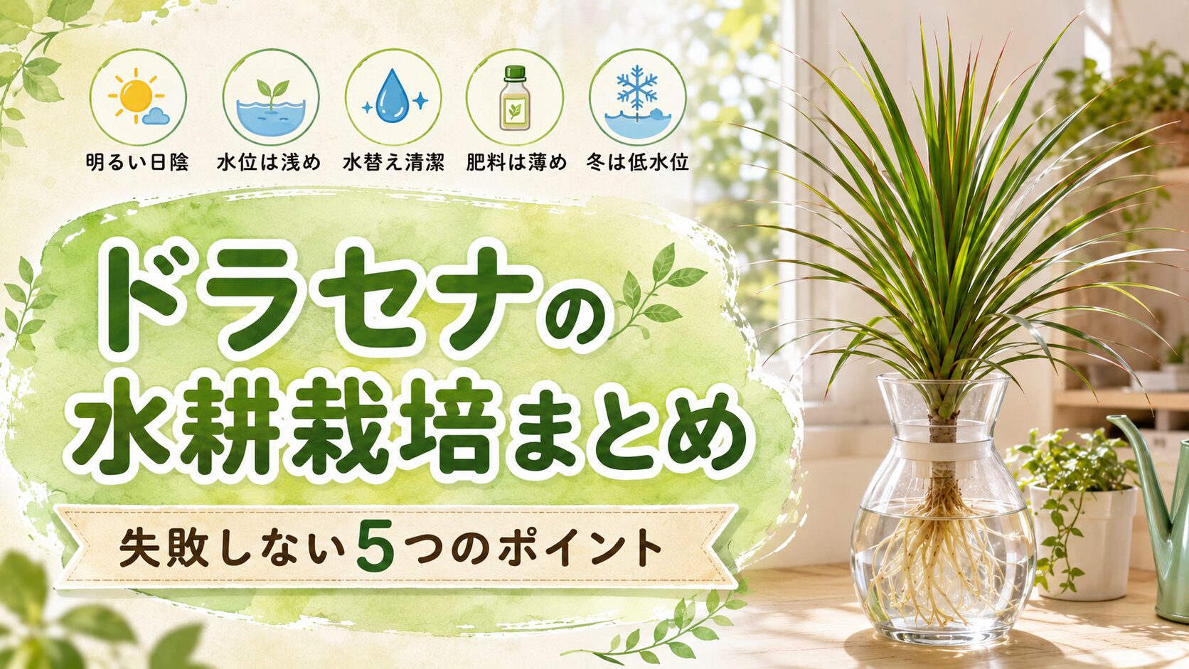 ドラセナの水耕栽培で失敗しない水位や水替えなど5つのポイント