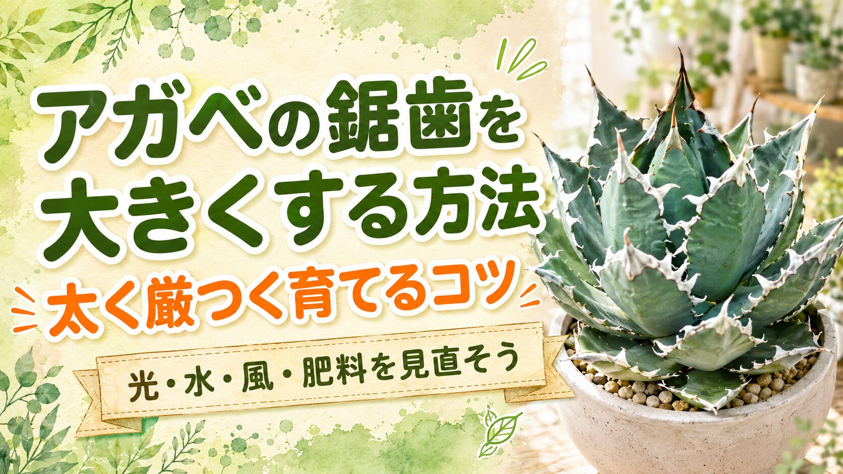 大きな鋸歯が目立つアガベの鉢植えと、アガベの鋸歯を大きくする方法、太く厳つく育てるコツ、光・水・風・肥料を見直そうの文字を配置した記事用アイキャッチ画像。
