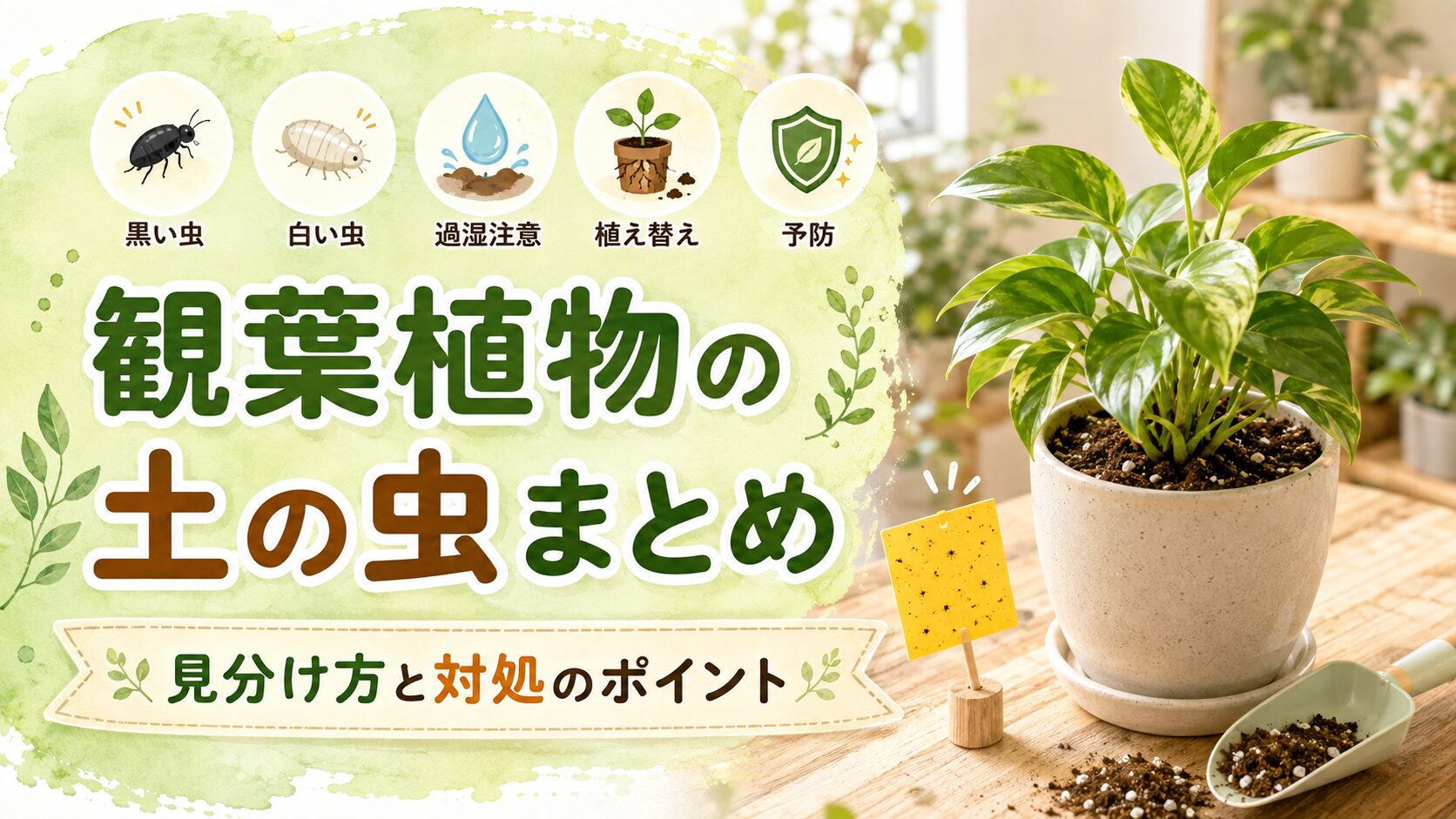 観葉植物の土の虫について、黒い虫・白い虫の見分け方、過湿対策、植え替え、予防のポイントを観葉植物と黄色粘着トラップでまとめた画像