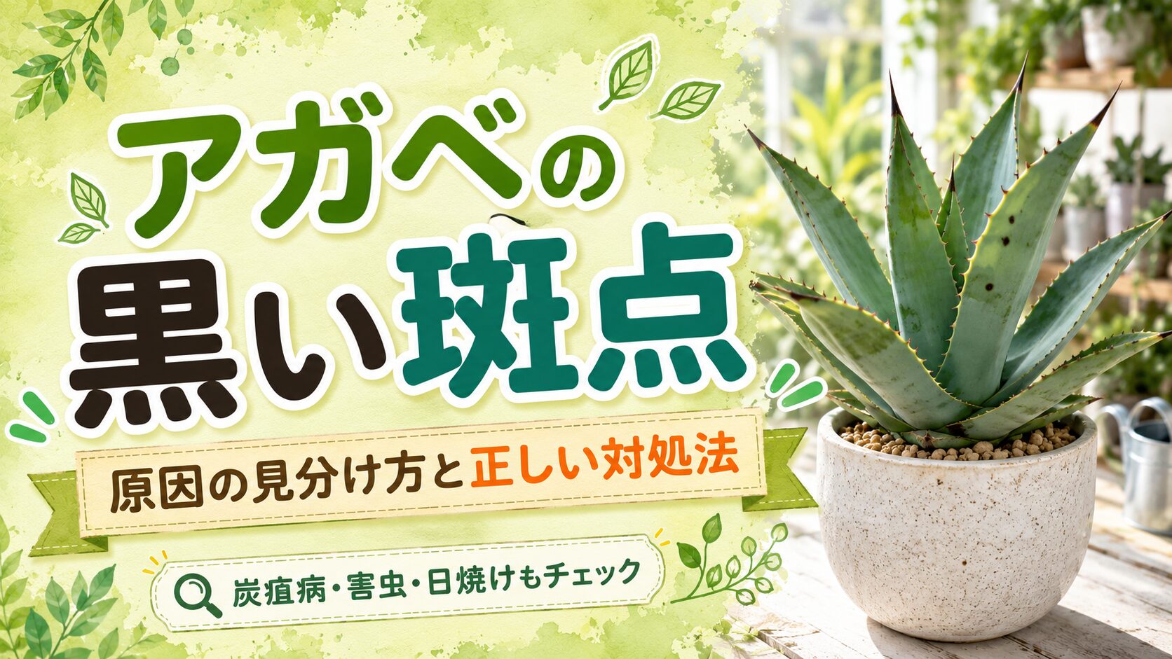 アガベの黒い斑点の原因と見分け方、正しい対処法を紹介するアイキャッチ画像。鉢植えのアガベと、炭疽病・害虫・日焼けのチェックポイントをわかりやすく表現している。