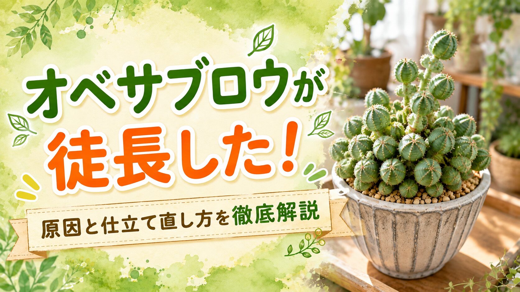 オベサブロウが徒長したときの原因と仕立て直し方を解説するアイキャッチ画像。群生したオベサブロウの鉢植えと、徒長対策をイメージした見出し入りビジュアル