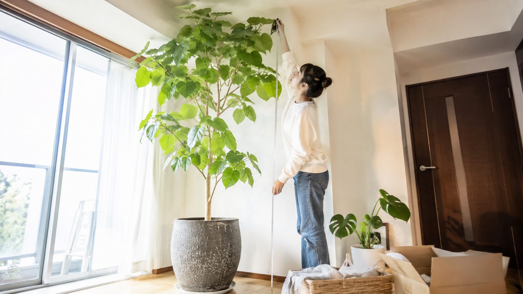 大型観葉植物の高さを測り粗大ごみのサイズ基準を確認する女性