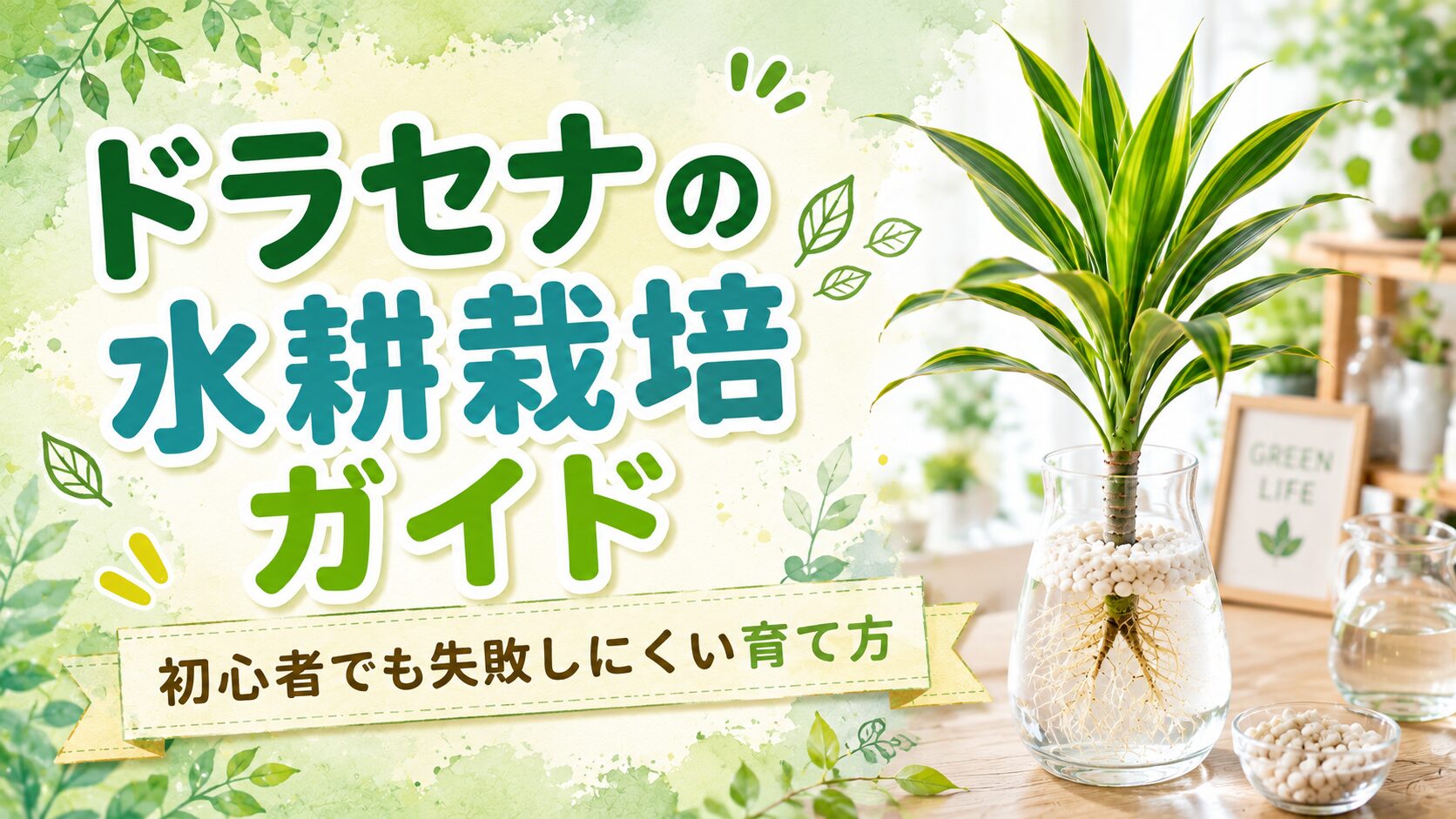 ドラセナの水耕栽培ガイドのアイキャッチ画像とガラス容器で育つドラセナ