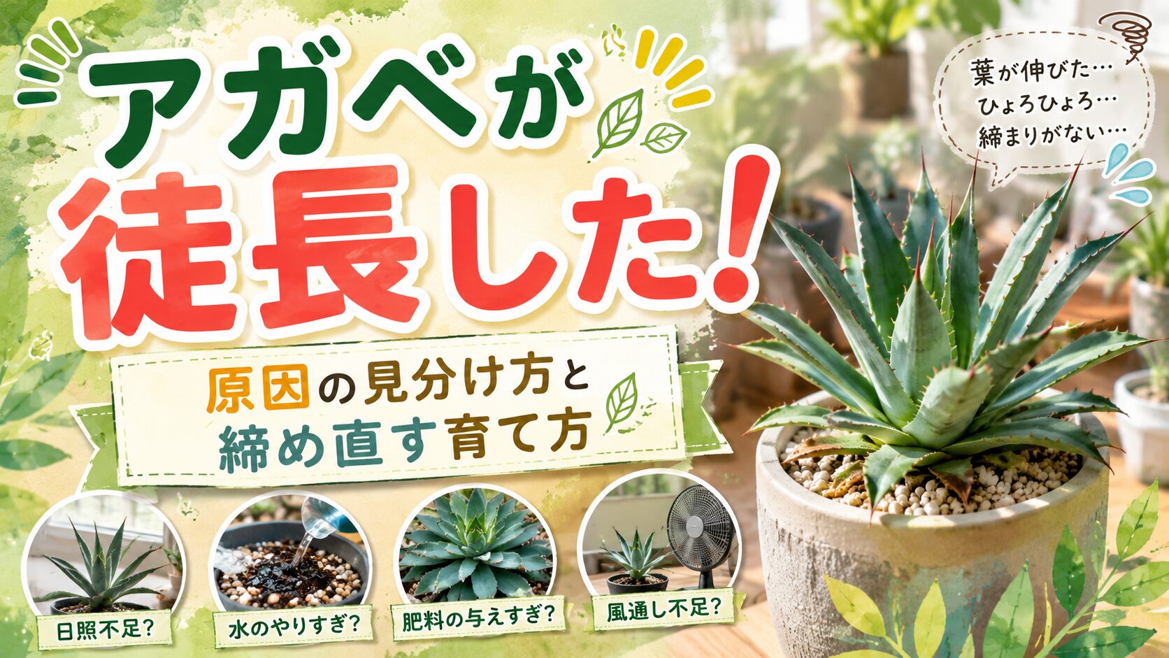 アガベが徒長した状態をテーマに、原因の見分け方と締め直す育て方を紹介するアイキャッチ画像。大きな鉢植えのアガベと、日照不足・水のやりすぎ・肥料の与えすぎ・風通し不足の要因がわかりやすく配置されている。