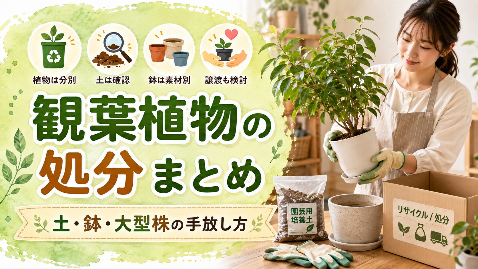 観葉植物の処分まとめ。植物・土・鉢の分別と大型株の手放し方を解説する画像