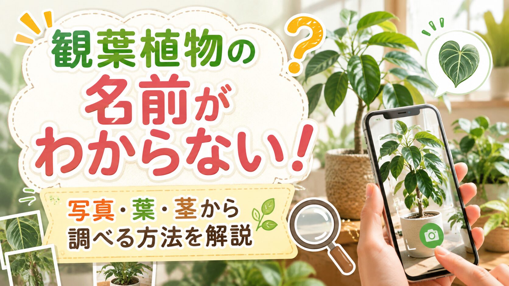 観葉植物の名前がわからないときに、スマホで写真を撮り、葉や茎の特徴から種類を調べる方法を解説するアイキャッチ画像