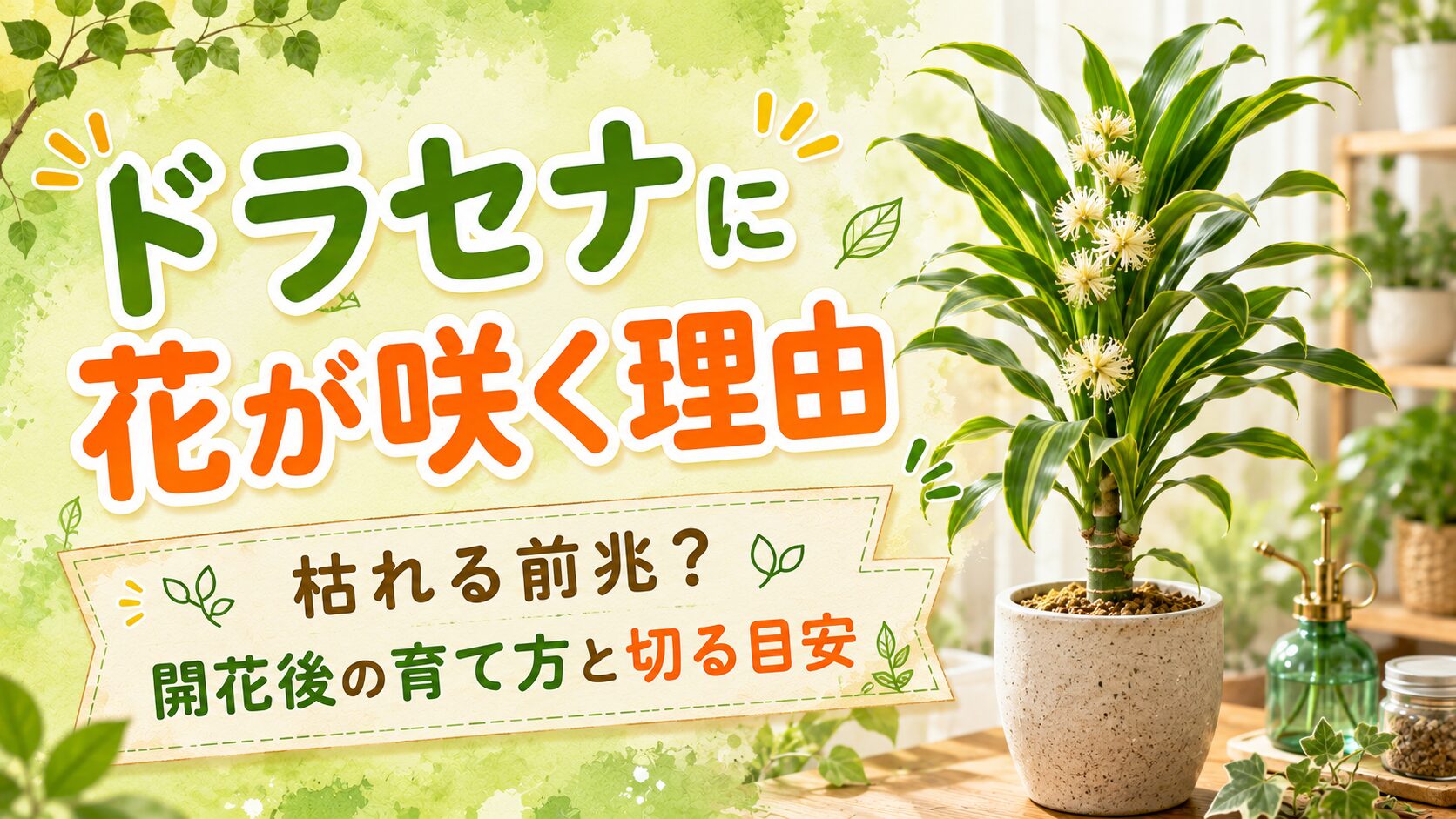 ドラセナに花が咲く理由と開花後の育て方を解説するアイキャッチ画像