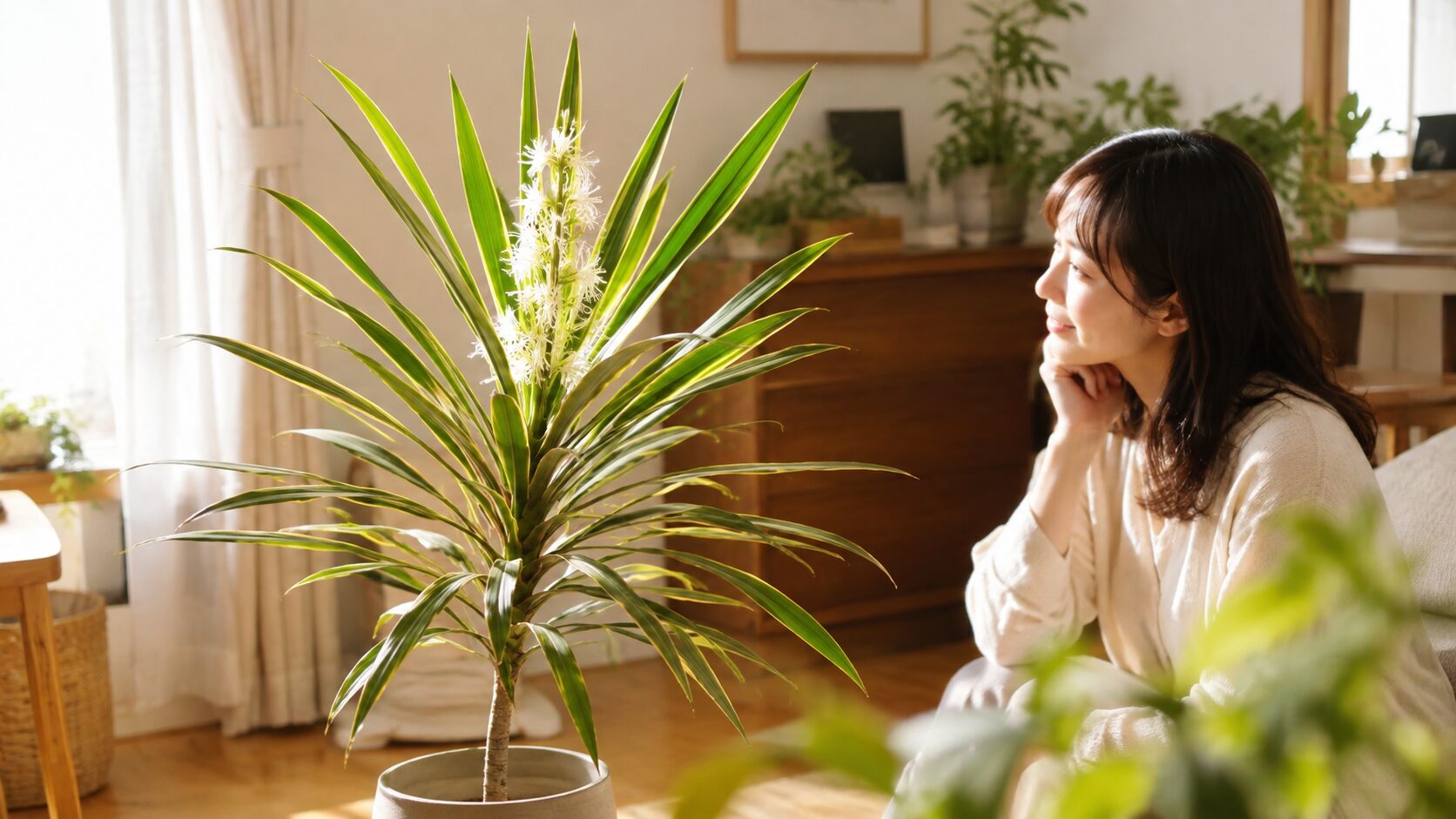 花を咲かせた幸福の木を眺める日本人女性