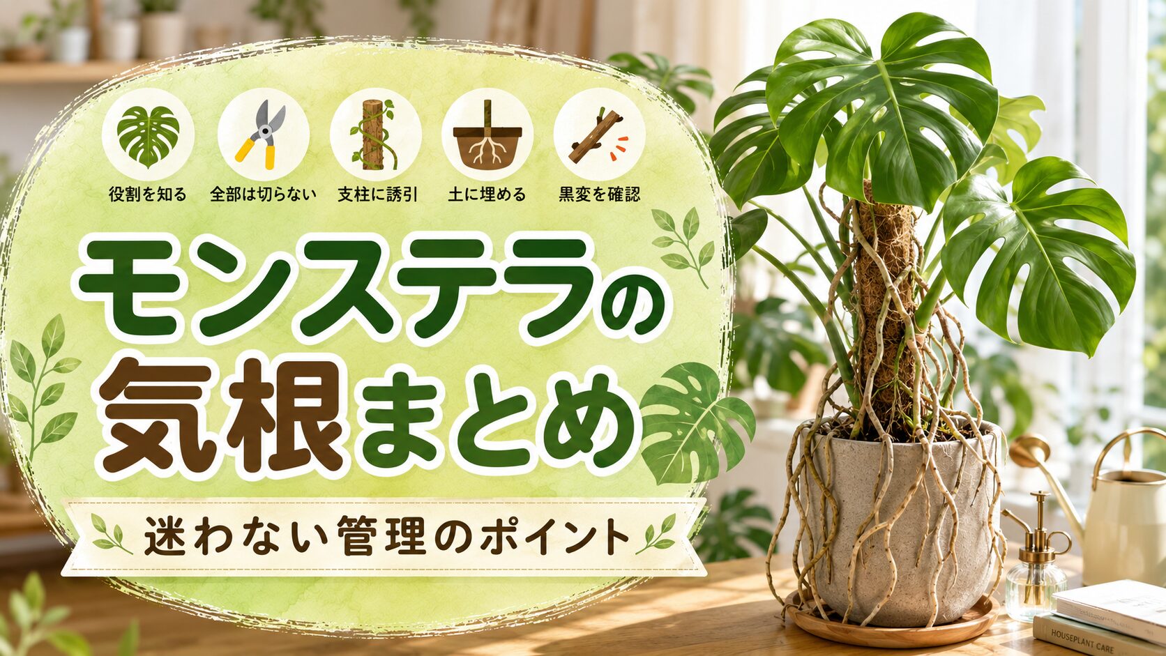 モンステラの気根の役割、切り方、支柱への誘引、土に埋める方法、黒変確認のポイントをまとめた記事の総括画像