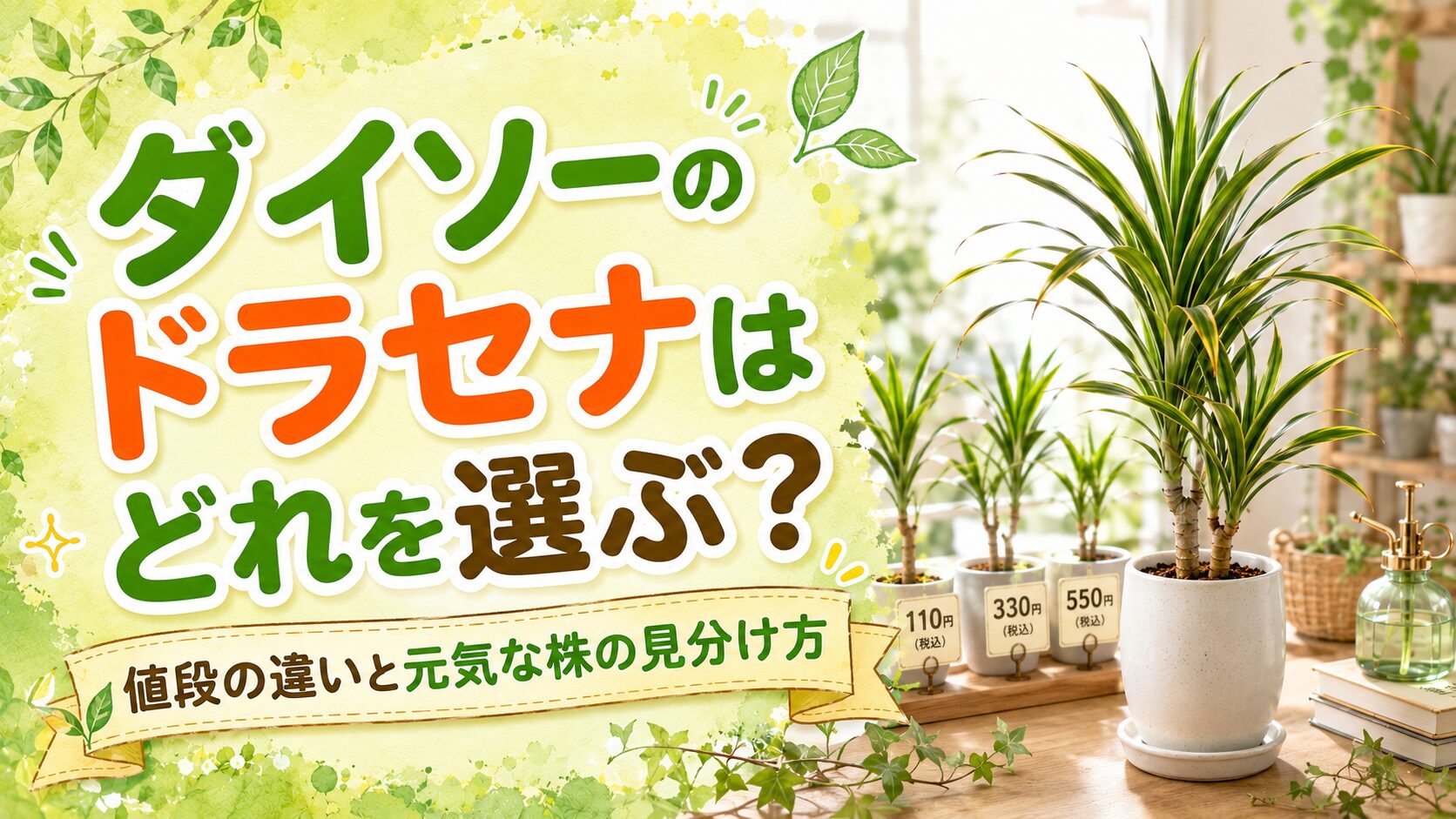 ダイソーのドラセナの選び方を解説するアイキャッチ画像。値段の違いと元気な株の見分け方を紹介
