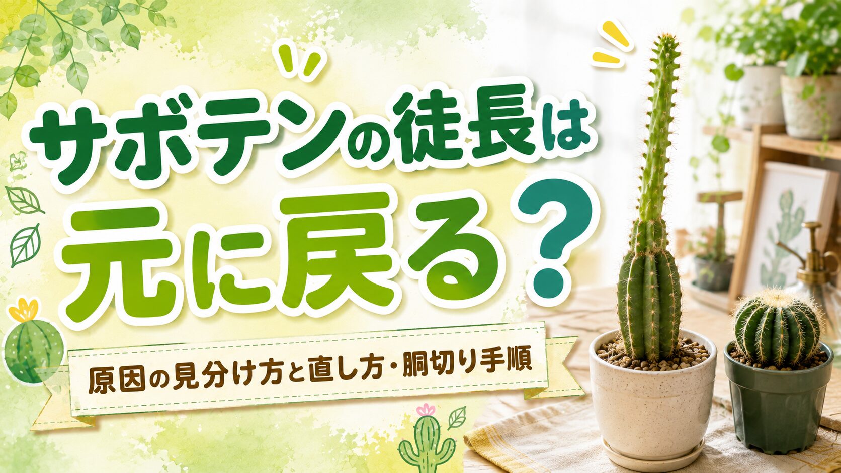 徒長して細長く伸びたサボテンと丸いサボテンを並べ、サボテンの徒長は元に戻るのか、原因の見分け方と直し方・胴切り手順を紹介するアイキャッチ画像