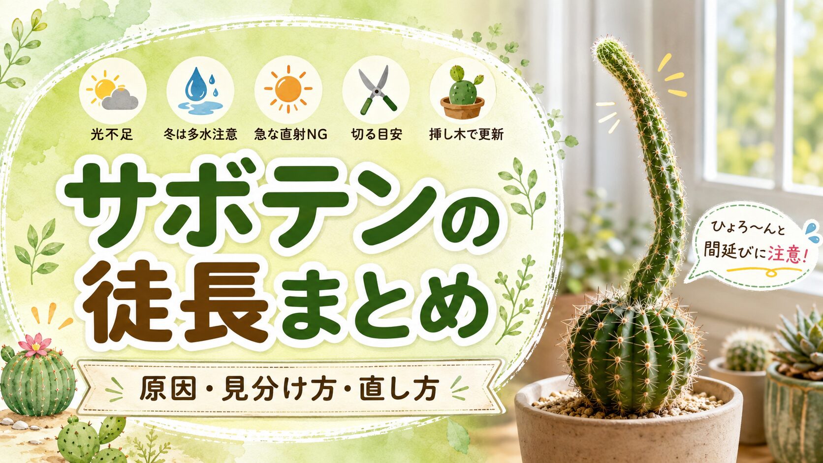 サボテンの徒長の原因と見分け方、直し方や挿し木のポイントをまとめた画像