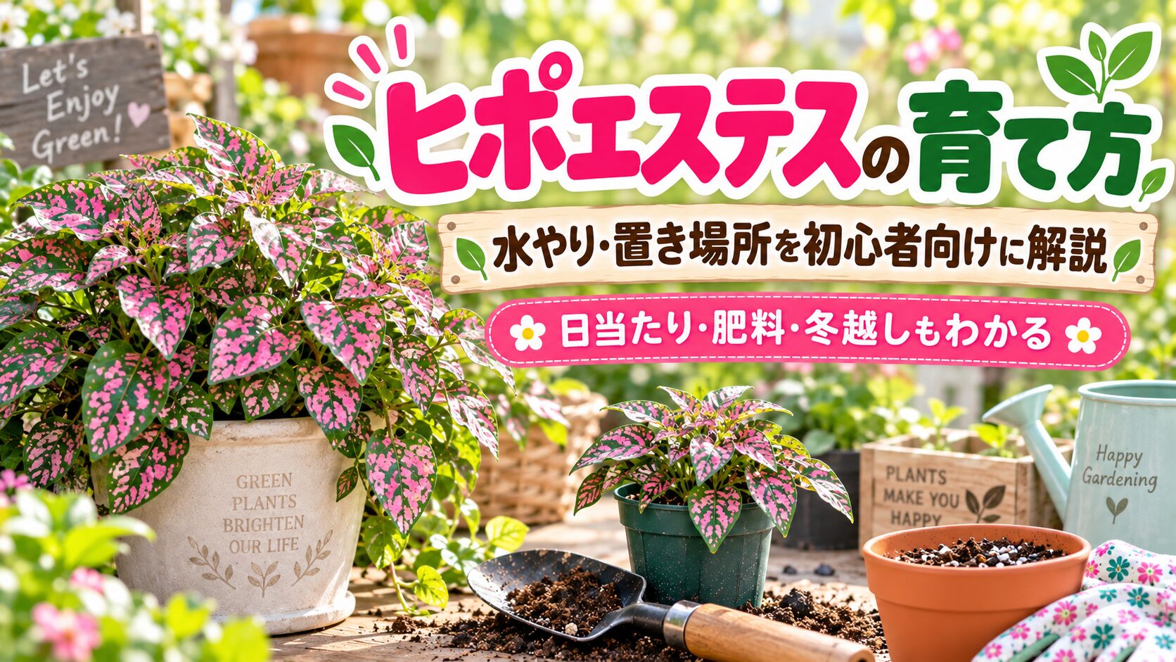 ヒポエステスの育て方を紹介するアイキャッチ画像。ピンクの斑入り葉のヒポエステスと園芸道具を背景に、水やり・置き場所・日当たり・肥料・冬越しのポイントをわかりやすく表現している