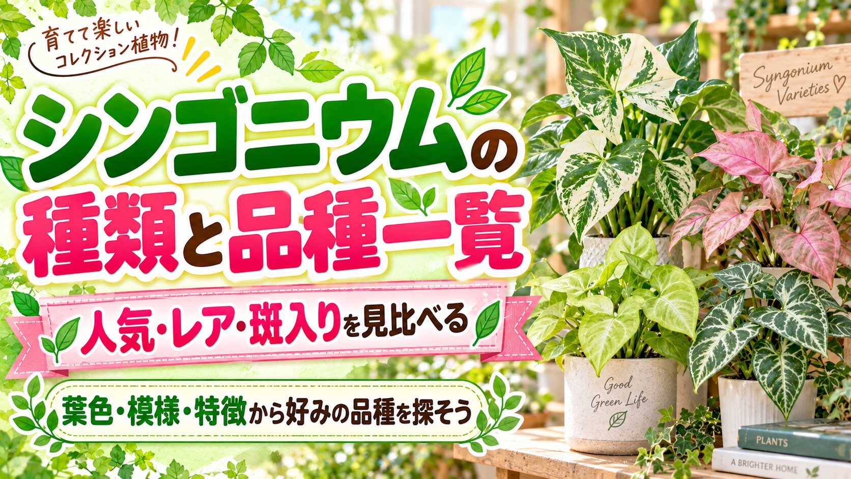 シンゴニウムの種類と品種一覧をテーマに、人気・レア・斑入りのシンゴニウムを比較できるアイキャッチ画像